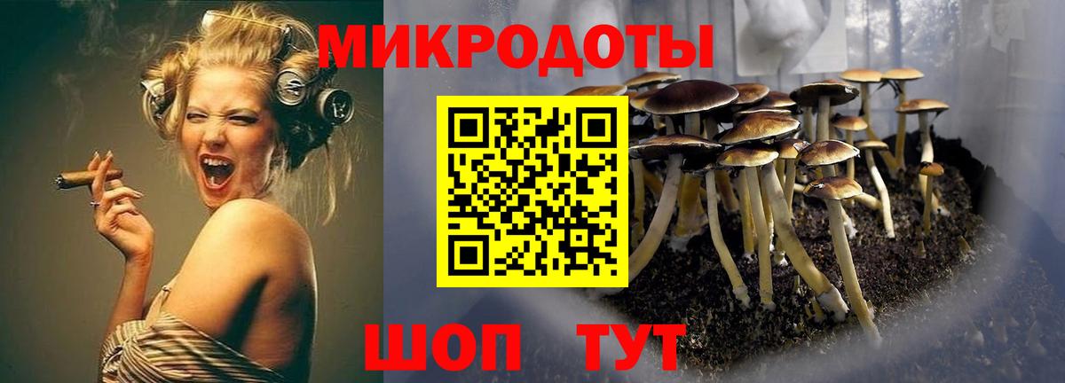 Галлюциногенные грибы ЛСД  Вход с VPN  Майкоп  Псилоцибиновые грибы ЛСД 